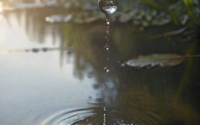 Keutamaan Infaq Belajar Al-Quran: Aliran Pahala Abadi