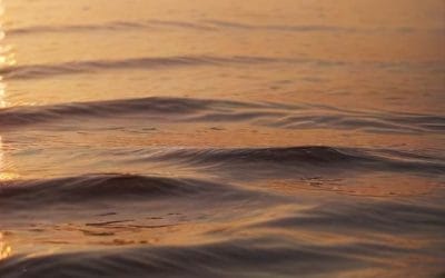 Kekuatan Emosi dalam Menghafal Al-Quran: Rahasia Memori Kuat