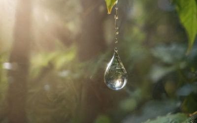 Manfaat Tikrar untuk Hafalan: Rahasia Biologis Memori Kuat