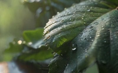 Pentingnya Menjaga Kesehatan Fisik Penghafal Al-Qur’an